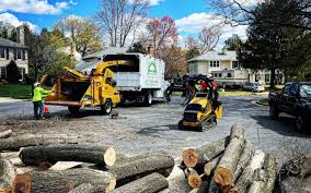 Best Arborist Consultation Services  in Valley Center, CA